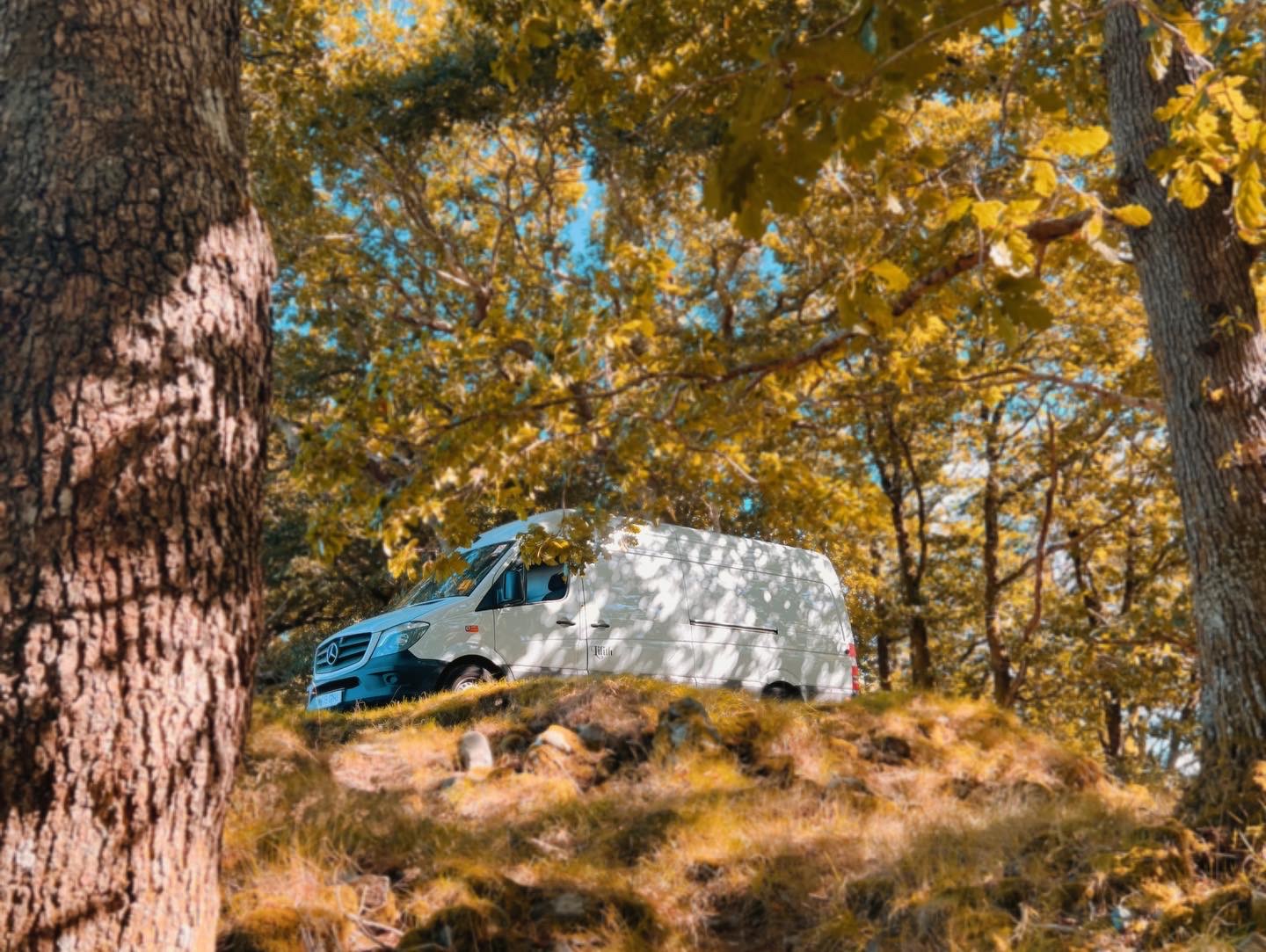 Happy New Year – 2022 roundup and 2023&nbsp;plans