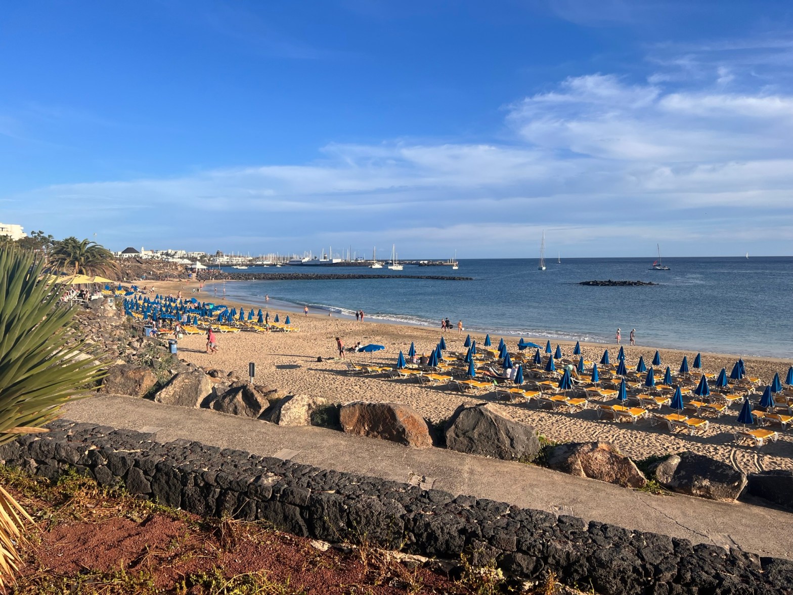 Coming along nicely – March ‘23&nbsp;Update